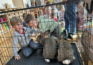 Wchodzimy do klatki królików.