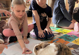 Karmimy małego królika.