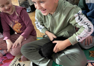 Trzymamy świnki morskie na kolanach.