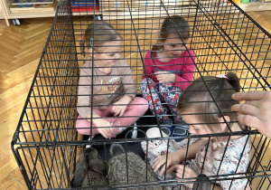 Dzieci siedzą w klatce z królikami.