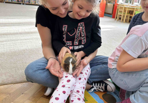 Dziewczynka trzyma królika na kolanach.