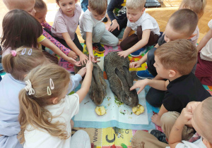 Dzieci głaszczą króliki.