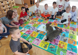 Chłopiec ma na kolanach świnkę morską.