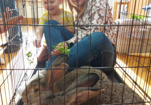 Pani Magda z chłopcem dokarmiają króliczka.