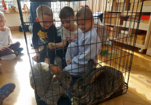 Dzieci obserwują zwierzątka.