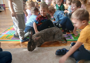 Królik skacze między dziećmi.