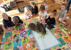 Dziewczynki głaszczą jedzące sałatę króliczki.