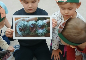 14. Chłopiec trzyma ilustrację jeża.