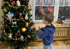 Chłopiec szuka wolnego miejsca na choince.