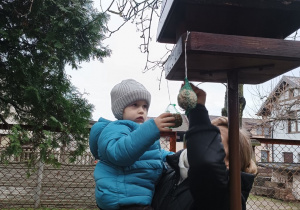 13 Chłopiec zawiesza przysmaki