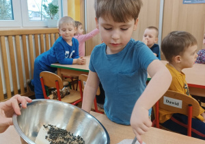 11 Chłopiec wsypuje ziarenka do miski