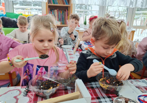 Dzieci wsypują susz herbaciany do torebeczek.