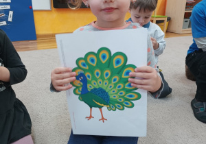 04 Dziewczynka pokazuje ilustrację pawia