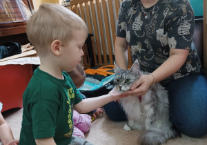 21 Chłopiec głaska kota