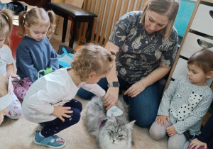 23 Dziewczynka czesze kota