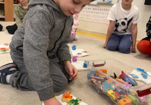 Chłopiec układa rybki na krze.