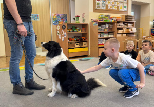 Chłopiec głaszcze psa.