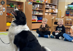 Pies czeka na komendę właściciela.