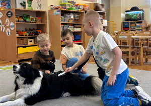Chłopcy czeszą psa grzebieniem.