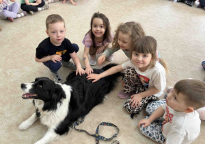 Kropelki z miłym czworonożnym przyjacielem.