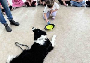 Dziewczynka nalewa wody do miski.