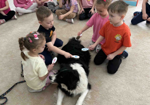 Czterolatki czeszą grzebieniem pieska.