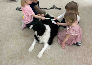 Kropelki wyczesują sierść Candy.