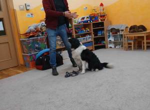 Warsztaty z dogoterapii