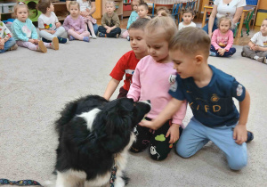 Dzieci witają się z pieskiem.
