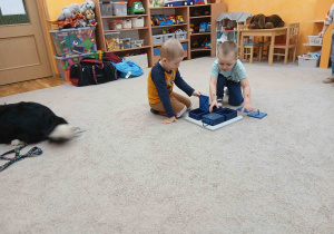 Przedszkolaki chowają smaczki dla psa.