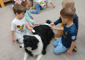 Dzieci czeszą psa.
