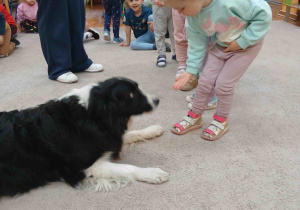 Dziewczynka karmi psa.