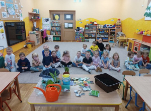 Słoneczka zakładają zielony kącik w sali.