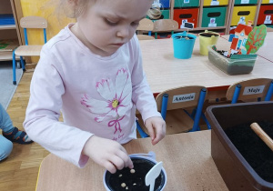 06. Dziewczynka sadzi ziarenka.