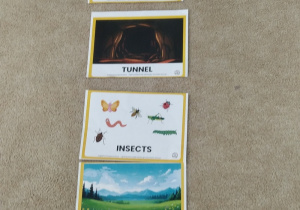 02.Karty przedstawiające środowisko życia borsuka.