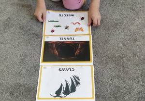 06.Dziewczynka dopasowuje ilustracje.