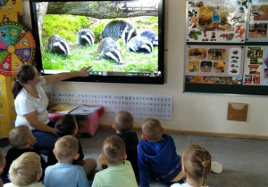 08.Promyczki oglądają film o borsukach.