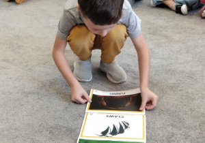 10.Chłopiec układa karty z ilustracjami na dywanie.