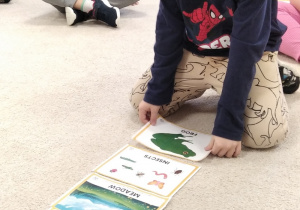 13.Chłopiec wskazuje żabę.