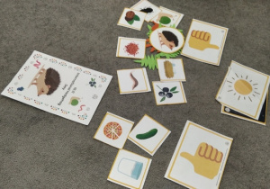 03.Karty przedstawiające pożywienie dla jeża.