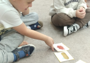 04.Chłopiec układa ilustracje na dywanie.