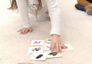 09.Dziewczynka układa ilustracje na dywanie.