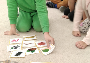 10.Chłopiec układa karty z jedzeniem.