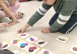 12.Sześciolatek układa ilustracje z owadami według kodu.