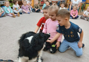 01. Dzieci witają się z pieskiem.
