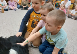 02. Dzieci witają się z pieskiem.