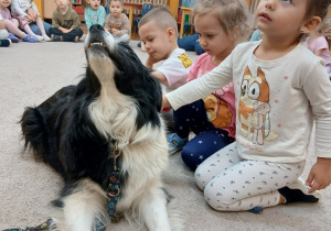 03. Dzieci głaskają psa.