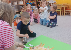 15. Przedszkolaki opisują wygląd psa.