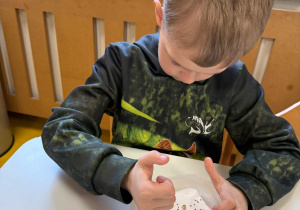 Chłopiec sadzi nasionka rzeżuchy.