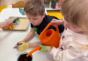 Dziewczynka podlewa cebulki.